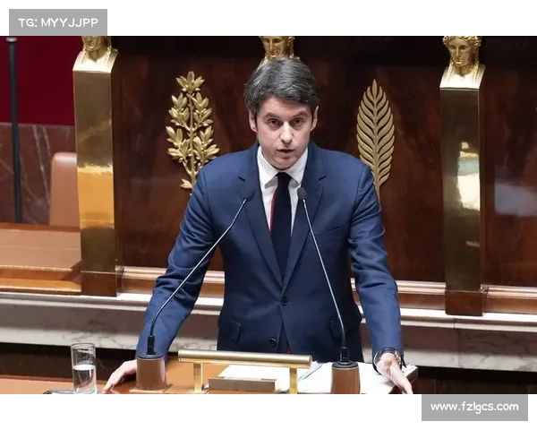 法国议会选举首轮极右翼大胜,马克龙政治赌注背后的风险与后果 法国议会选举首轮极右翼大胜,马克龙政治赌注背后的风险与后果